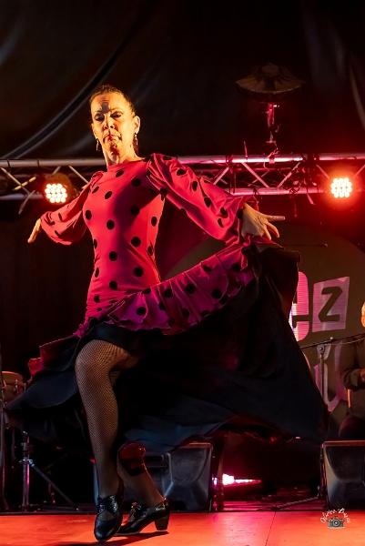 flamenco (80)